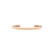 Zapestnica Daniel Wellington