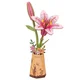 shumee Pink Lily DIY - Rože Robotime