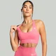 STRIX Seamless Sports Bra Sorbet
