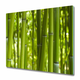 tulup.si Steklena podloga za rezanje Bamboo 2x30x52 cm