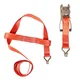shumee Transportni pas z napenjalcem in pasom 5T 5000kg 50mm 3m AMIO-03317