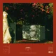 Casey - How To Disappear (Yellow Transparent Coloured) (LP)