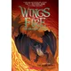Dark Secret (Wings of Fire Graphic Novel #4)