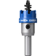 Bosch Kruna za lim sa osovinom Expert 2608901979, 23mm