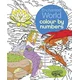 Enchanted World Colour by Numbers