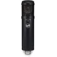 Warm Audio WA-47jr Black Kondenzatorski studijski mikrofon (Kot novo)