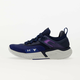 Under Armour Project Rock 5 Disrupt Bauhaus Blue/ Midnight Navy/ Halo Gray 3025976-401