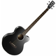 Cort AB850F Black Akustična bas kitara