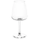 DYRGRIP Kozarec za rdeče vino, prozorno steklo, 58 cl