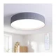 Brilagi - LED prigušiva plafonska svetiljka LUCIA LED/48W/230V prečnik 41 cm siva + daljinski upravljač