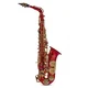 Saksofon Alt Eb Roy Benson AS-202R RB700.605