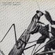 Courtney Barnett - Creature Of Habit (USA) (LP)