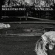 Hedvig Mollestad Trio - Ding Dong. Youre Dead. (LP)