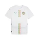 PUMA Dres Senegal 2025 svetlo rumena/svetlo zelena/živo rdeča/bela