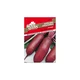 SEME ROYAL SEEDS 68 Rdeča pesa Cylindra