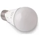 OO24 LED žarnica E27 Barva Toplo bela 12W