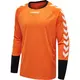Hummel dres Essential GK Jersey 04087-5006