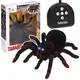 Nobo Kids VELIKI PAJEK TARANTULA NA DALJINSKO UPRAVLJANJE Z SVETLEČIMI OČMI IN LED DALJINSKIM UPRAVLJALNIKOM