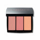 Blush Trio 9 g paleta rdečil (Odstín Berry Adore)