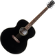 Pasadena PJ-300 Black Akustična kitara Jumbo