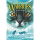 Warriors: The Broken Code #1: Lost Stars