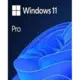 MICROSOFT Windows 11 Pro 64bit Eng Intl OEM FQC 10528