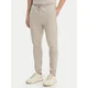 BOSS Spodnji del trenirke Sestart 50509303 Siva Regular Fit