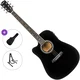 Pasadena PDC-10LE Standard SET Black Elektroakustična dreadnought