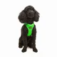 Paws & Whiskers Am za pse Air-Mesh, Zeleni