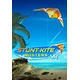 Stunt Kite Masters [VR] (PC) Steam Key EUROPE
