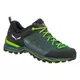 Salewa MS MTN TRAINER LITE GTX, cipele za planinarenje, zelena 61361