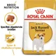 Royal Canin Suva hrana za pse Jack Russel Terier Adult 1.5kg.