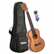 Cascha HH 2048 Premium Mahogany Tenor Ukulele Set