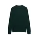 Superdry & Co Pulover temno zelena