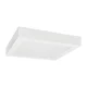 LED plafonsko svetlo FENIX LED/12W/230V 3800K 17 cm snežno bela