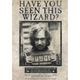 Maxi poster GB eye Movies: Harry Potter - Wanted Sirius Black