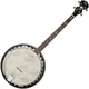 SX BJ564VS Banjo