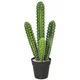 HOMCOM HOMCOM umetna rastlina plastika 13D x 13Š x 53V cm zeleno, (5000242201)