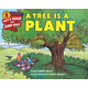 Tree Is a Plant