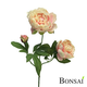 Umetna Peonija x3 Marseille 70cm roza 35% POPUST - roza - 50 do 75 cm