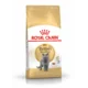Royal Canin Adult British Shorthair