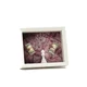 Fortune Frames Ram za slike Cash Queen, Beli