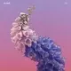 Flume - Skin (Pink Coloured) (2 LP)