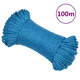 Vidaxl Delovna vrv moder 3 mm 100 m polipropilen