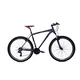 CAPRIOLO MTB LC 9.1 29 21AL sivo-crven 924543-21