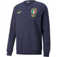 Trenirka Puma FIGC Graphic Winner Men Football weathirt