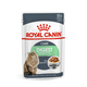 Royal Canin Digest Sensitive - mokra hrana u sosu za mačke osjetljivi na probavu 12 x 85 g