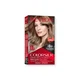 REVLON ColorSilk Beautiful Color™ bo?a za kosu, tamno pepeljasto plava 60