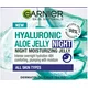 GARNIER Skin Naturals Hyaluronic Aloe Jelly noćni hidrantni gel