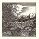 Conjurer - Mire (Reissue) (Gold Coloured) (LP)